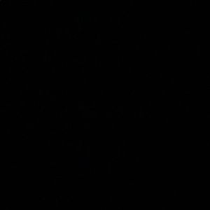 Meet your Posher, Lily